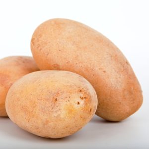 Potato